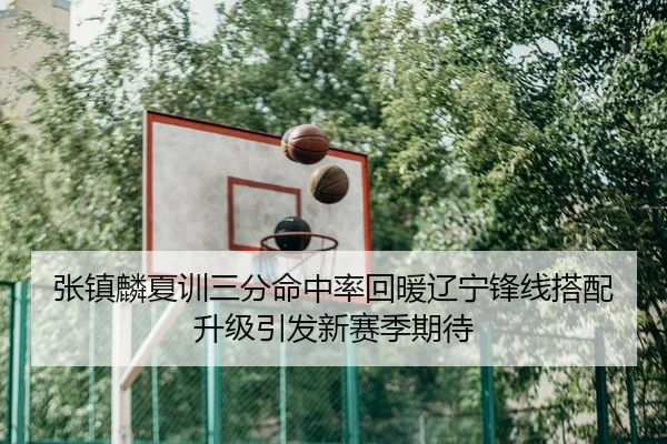 张镇麟夏训三分命中率回暖辽宁锋线搭配升级引发新赛季期待